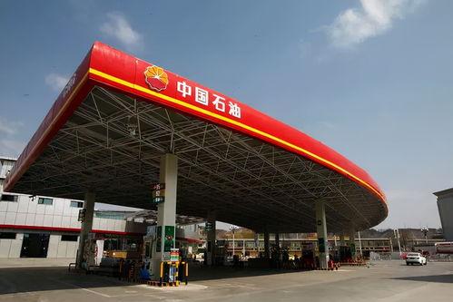 国产资源站,汇聚海量优质资源，助力创新发展  第3张