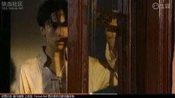 97伦理国产,构建和谐共生的人与自然新秩序 第2张 97伦理国产,构建和谐共生的人与自然新秩序 第2张